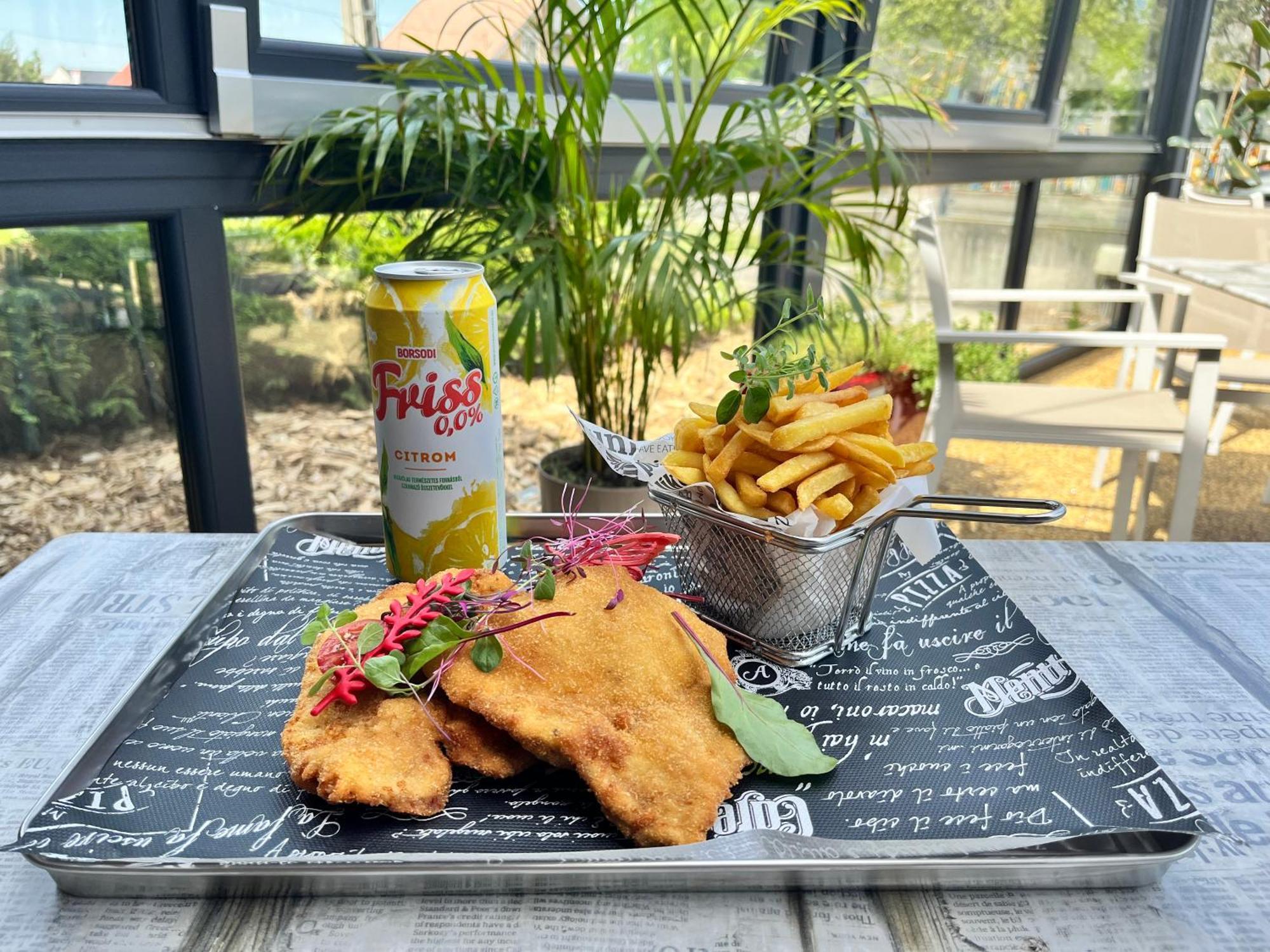 Pipacs Panir & Grill Garden Vendeghaz Hotel Győrújbarát Eksteriør billede